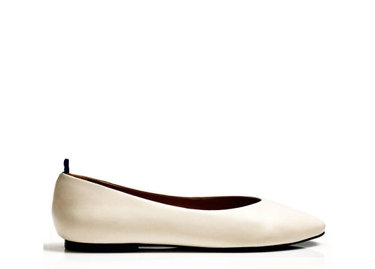 Update About Your dr LIZA Account